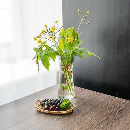 Capital's Old Town Gem Appartement *