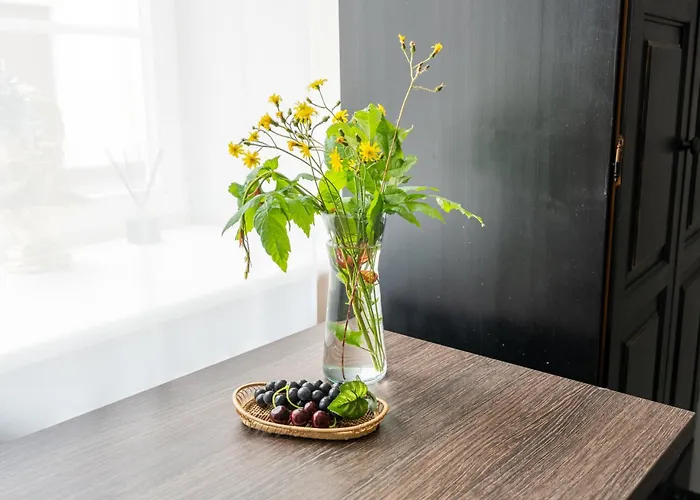 Capital's Old Town Gem Butas *